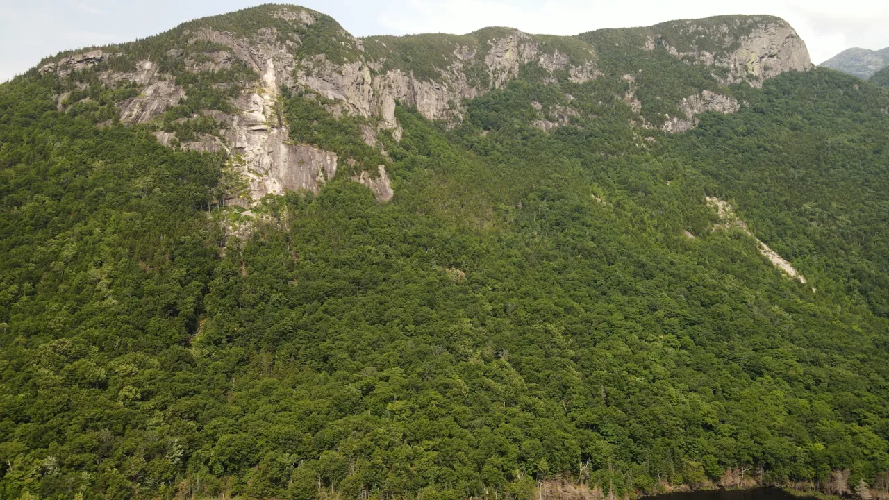 Forested mountainside with steep granite cliffs in the White Mountains