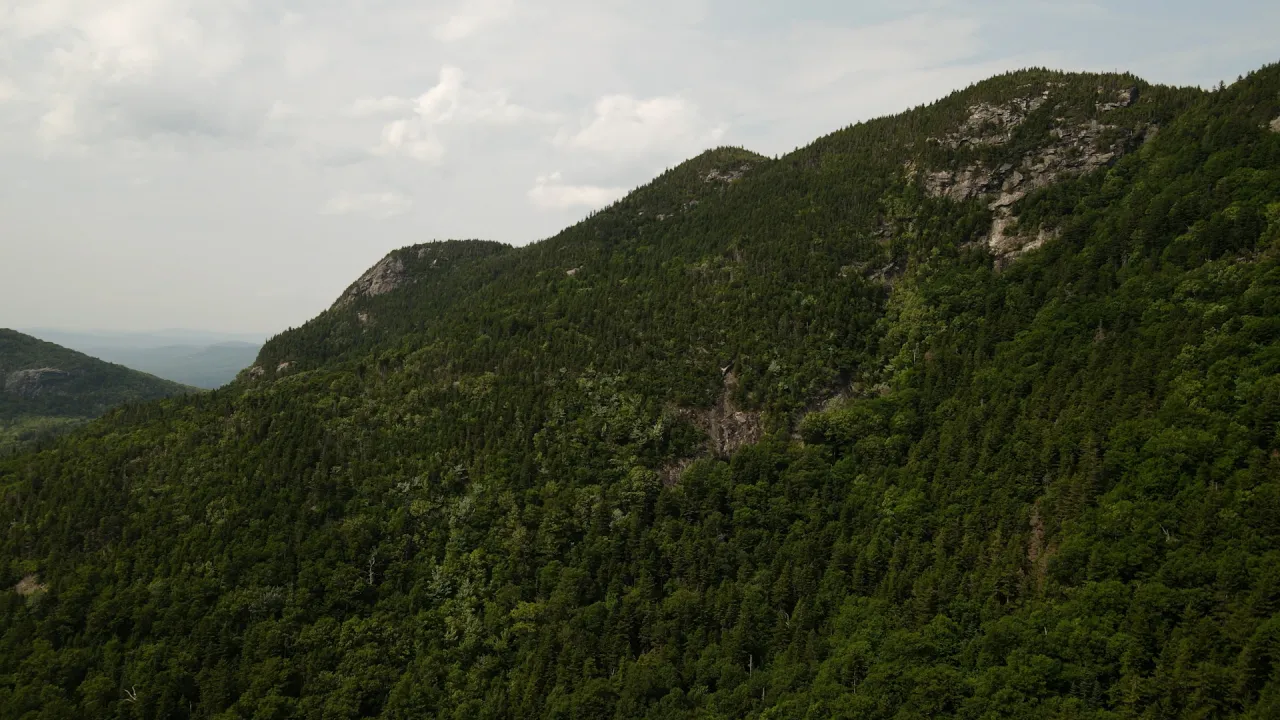 Forested ridge line and rocky peaks in the White Mountains